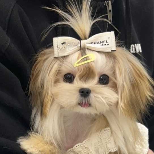 Cdddd