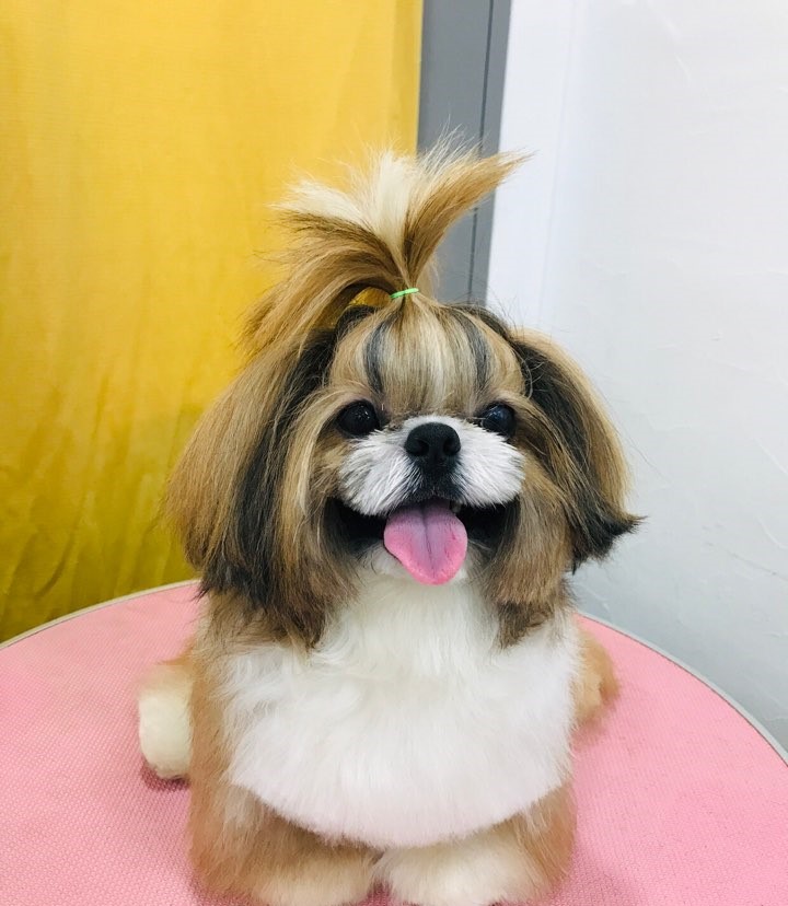 Kakaotalk 20190226 230631887