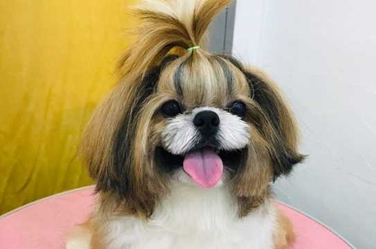 Kakaotalk 20190226 230631887