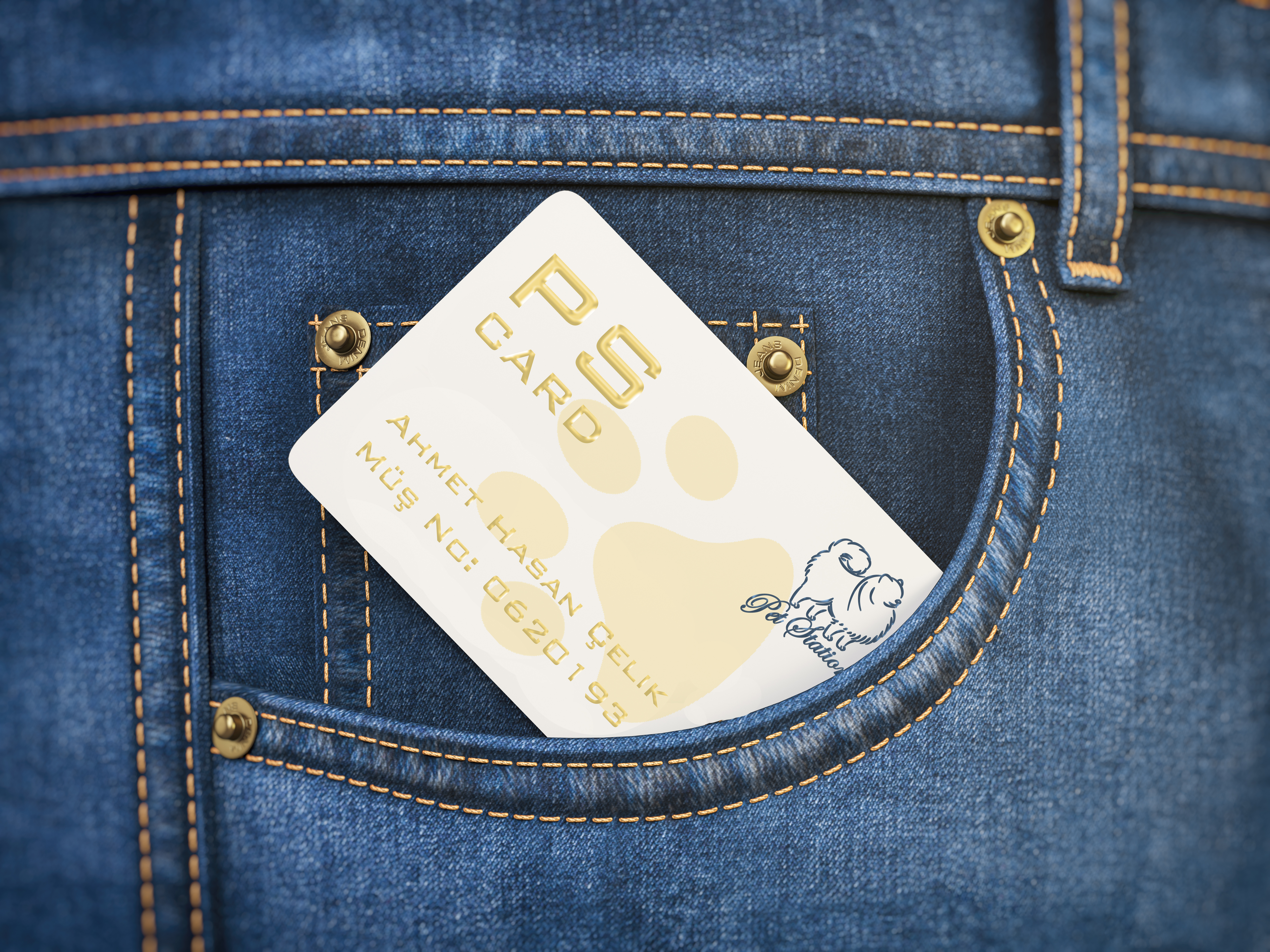 PS CARD