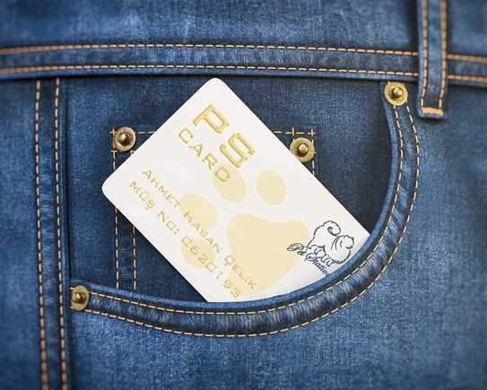 PS CARD